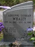 image number adrienne_siobhan_whaley